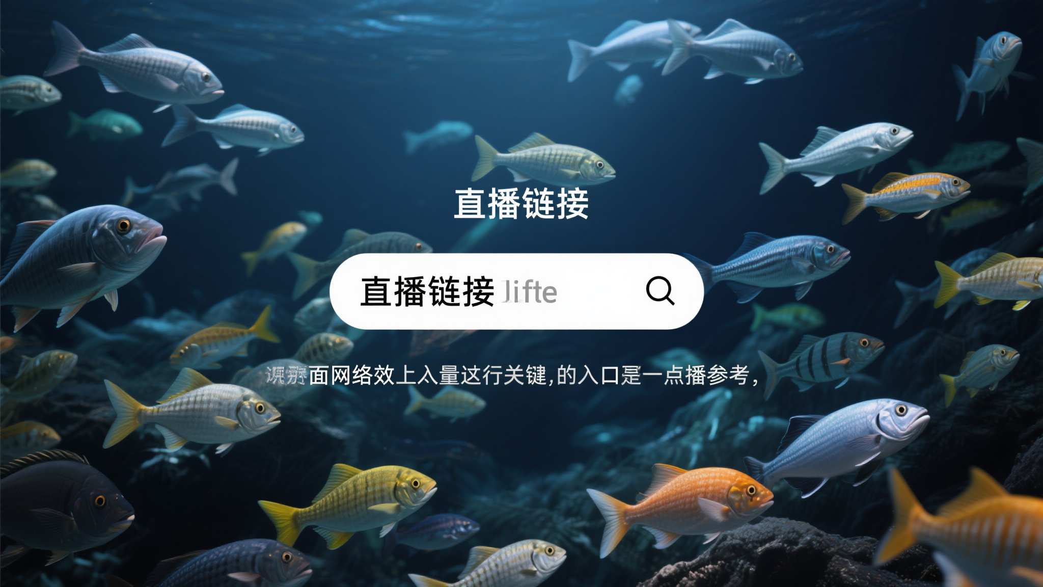 关于世界杯买球